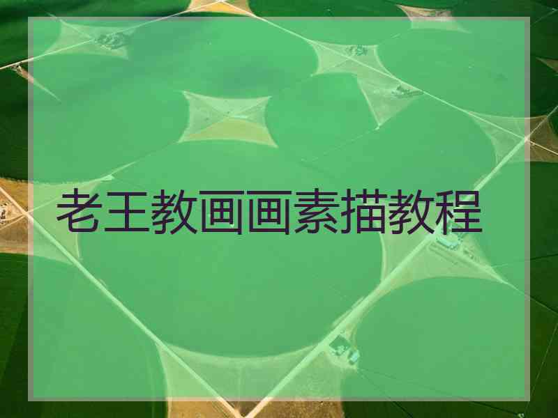 老王教画画素描教程