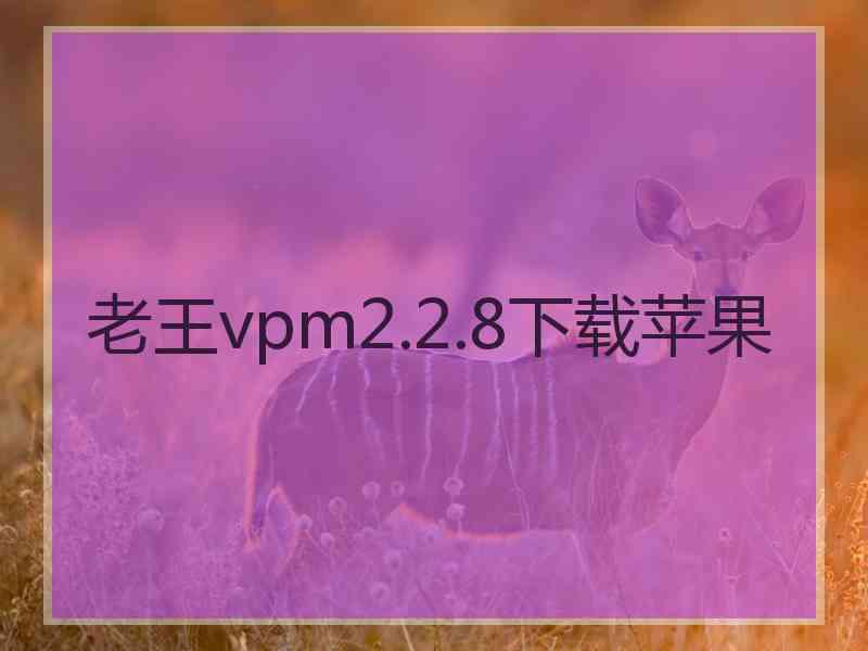 老王vpm2.2.8下载苹果