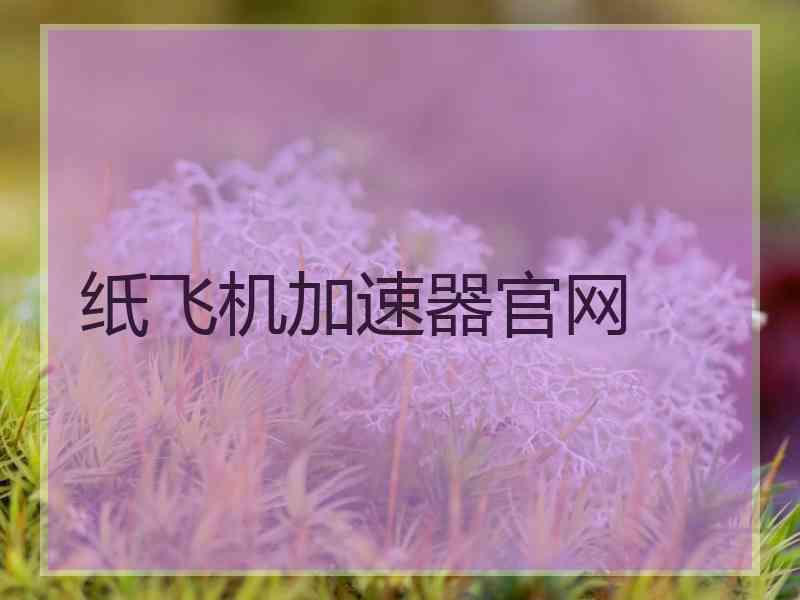 纸飞机加速器官网