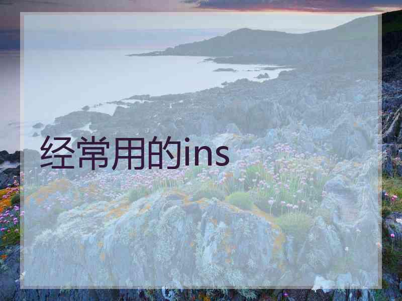 经常用的ins