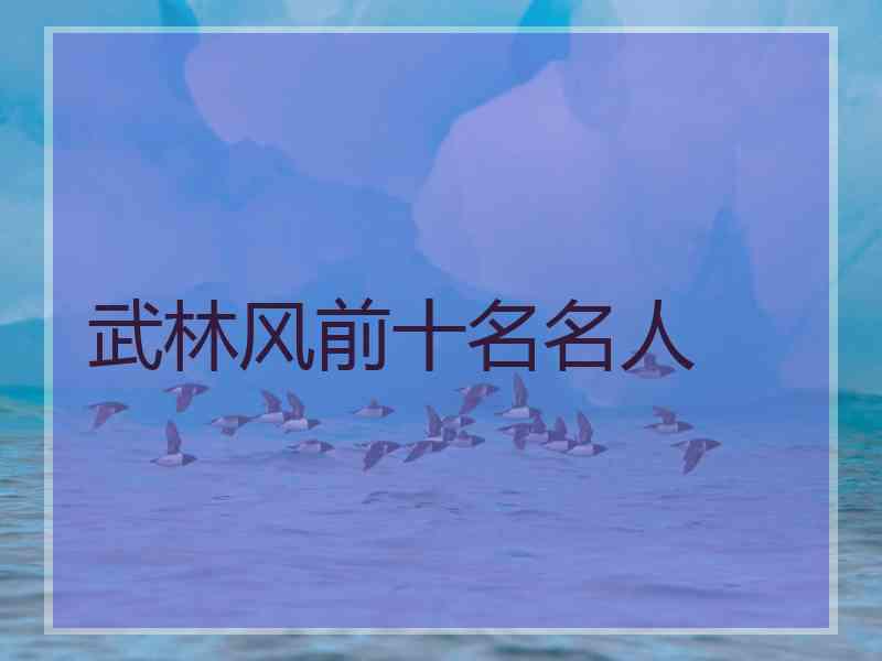 武林风前十名名人