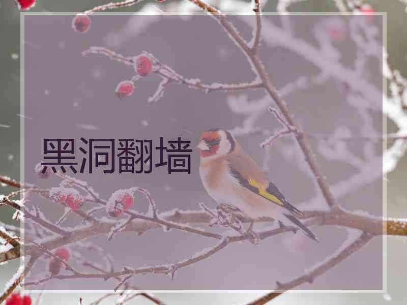 黑洞翻墙