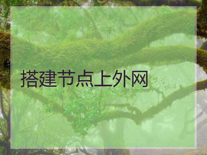 搭建节点上外网
