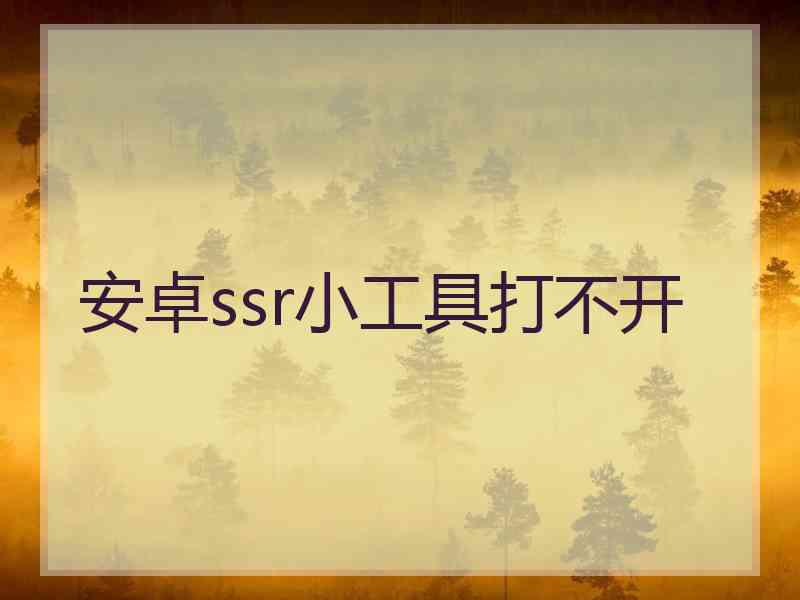 安卓ssr小工具打不开