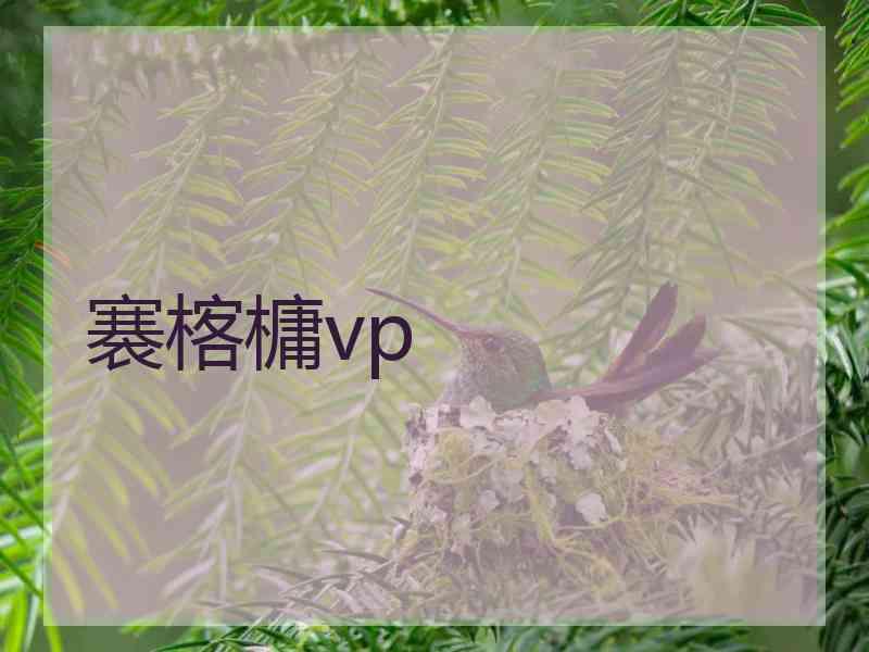 褰楁槦vp