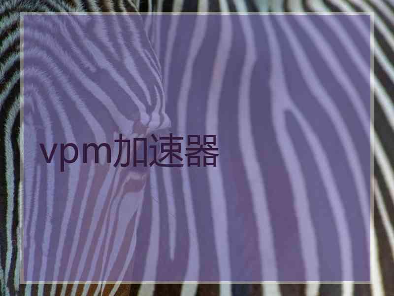 vpm加速器