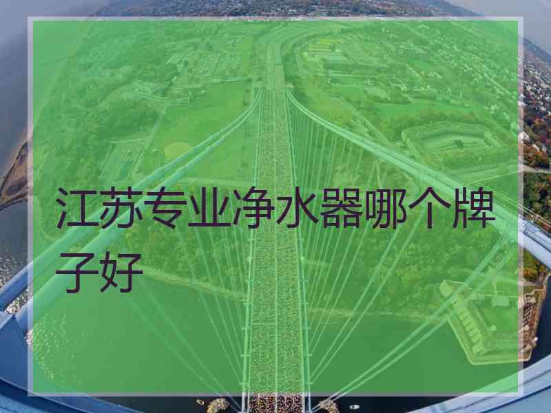 江苏专业净水器哪个牌子好