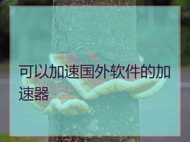 可以加速国外软件的加速器