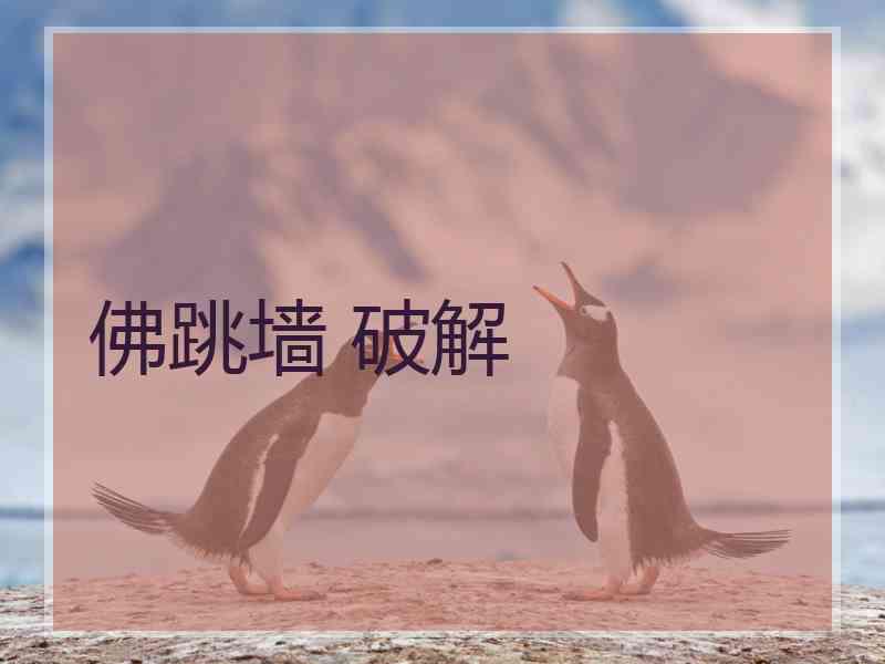 佛跳墙 破解
