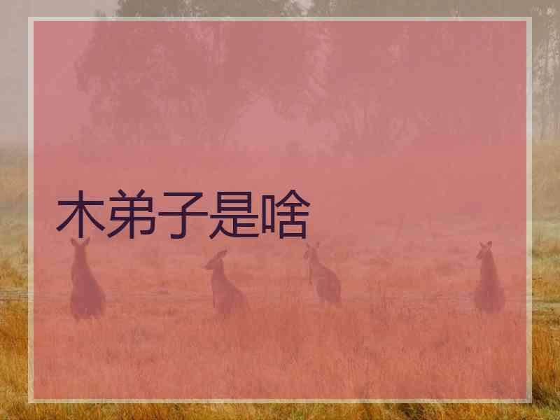 木弟子是啥