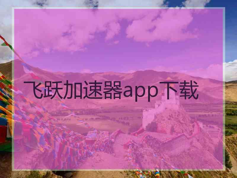 飞跃加速器app下载