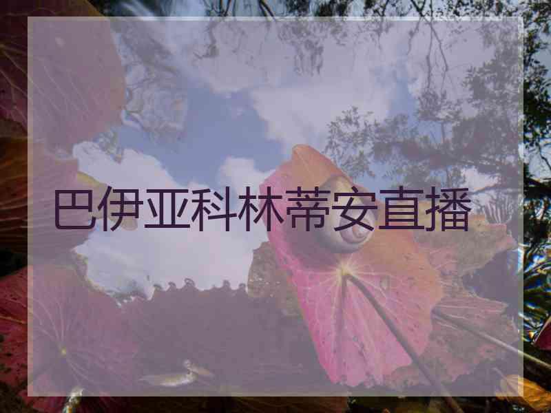 巴伊亚科林蒂安直播