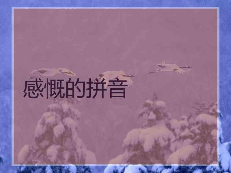 感慨的拼音