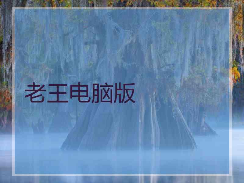 老王电脑版
