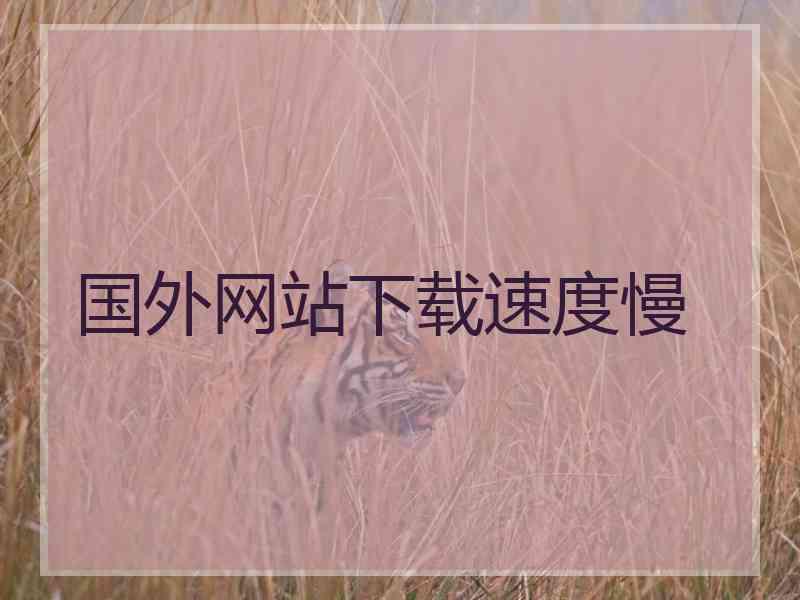 国外网站下载速度慢