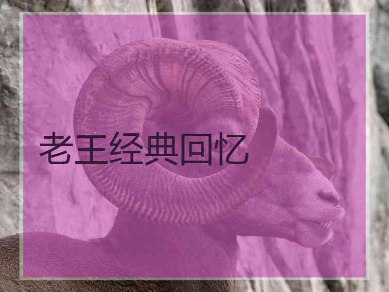 老王经典回忆