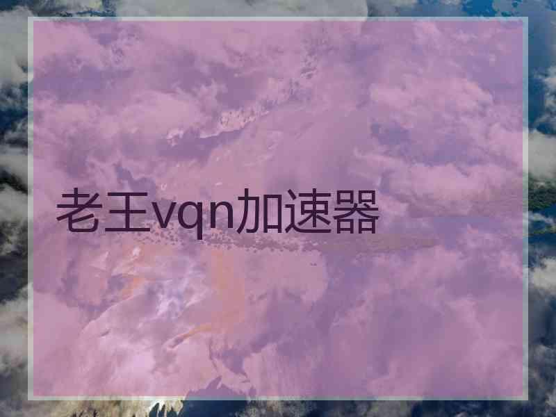 老王vqn加速器
