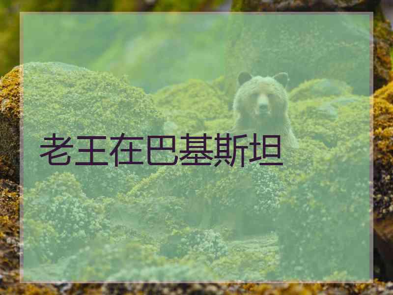 老王在巴基斯坦