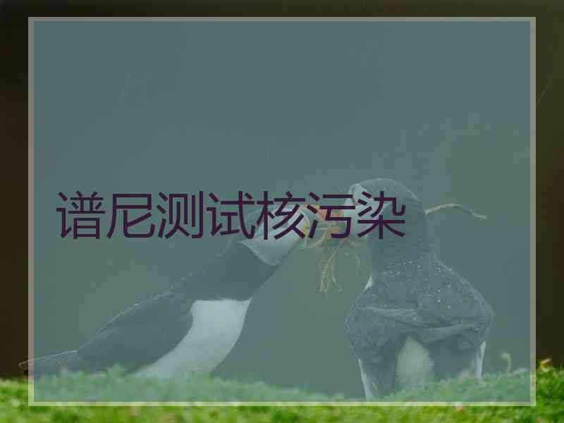 谱尼测试核污染