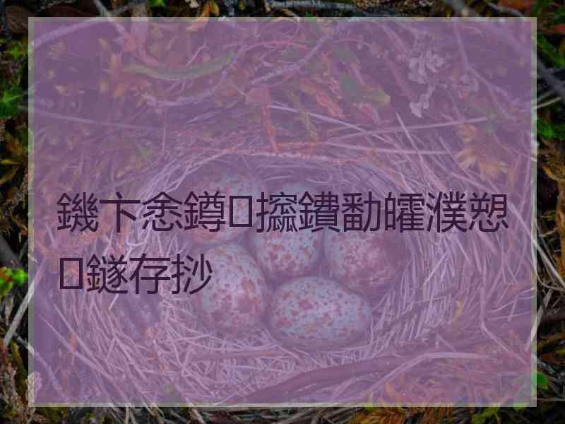 鐖卞悆鐏攨鐨勫皬濮愬鐩存挱