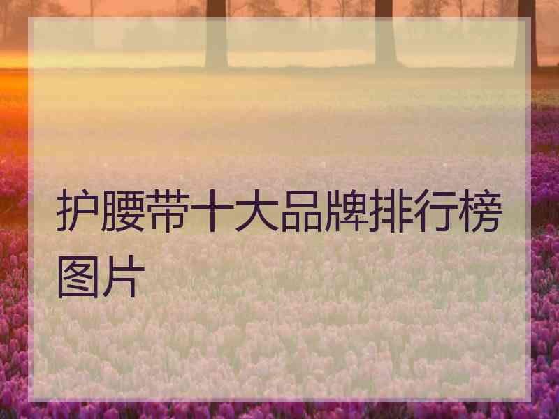 护腰带十大品牌排行榜图片