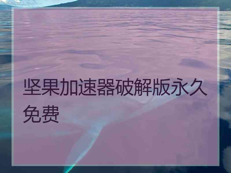 坚果加速器破解版永久免费