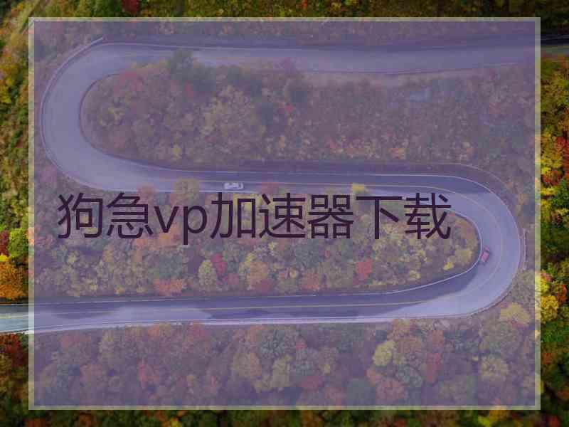 狗急vp加速器下载
