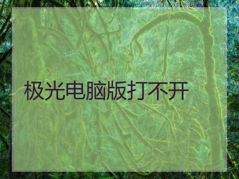 极光电脑版打不开