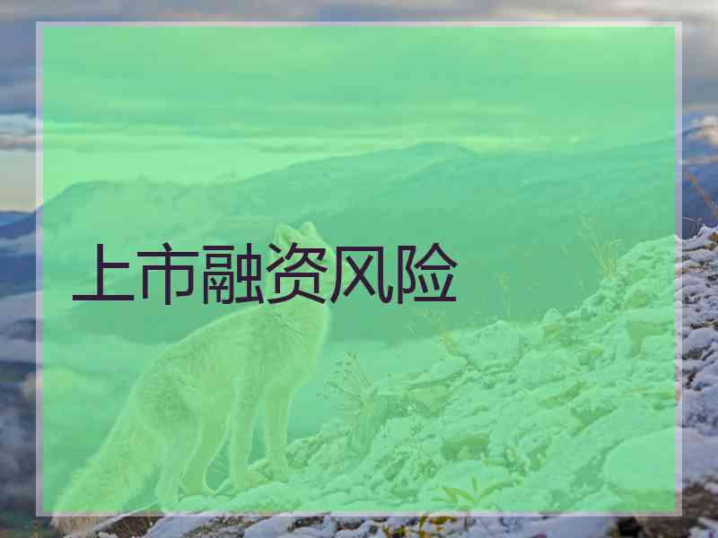 上市融资风险