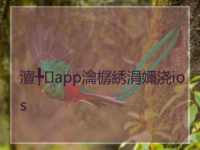 澶╄app瀹樼綉涓嬭浇ios