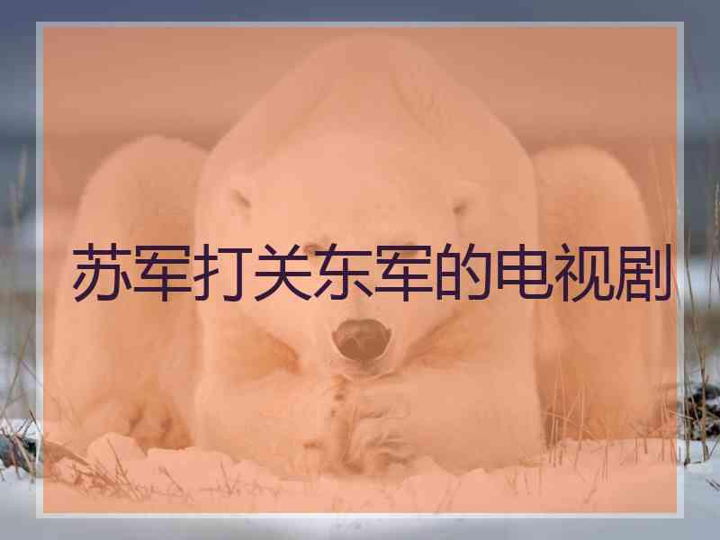 苏军打关东军的电视剧