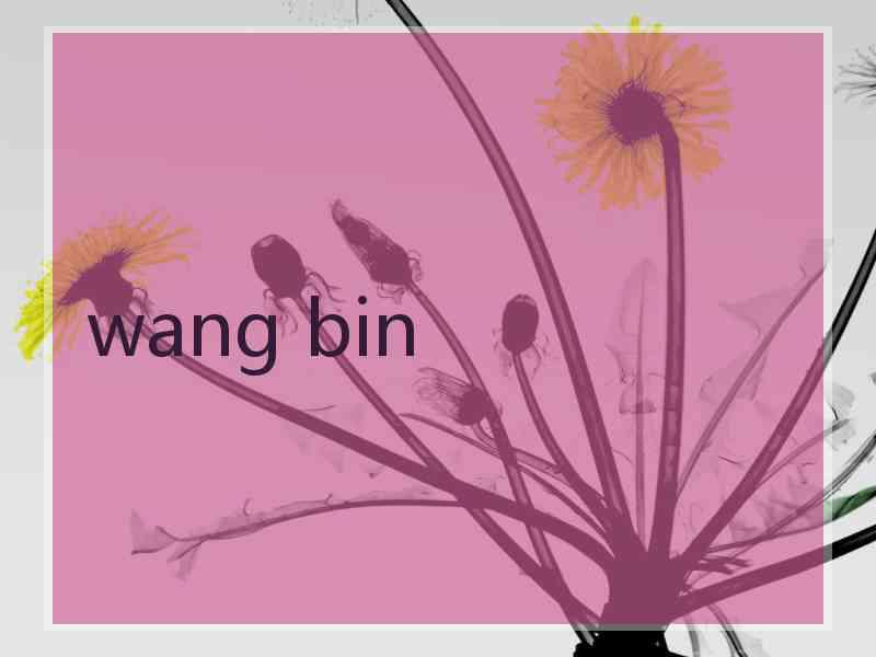 wang bin