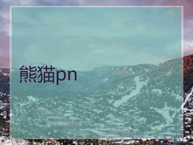 熊猫pn