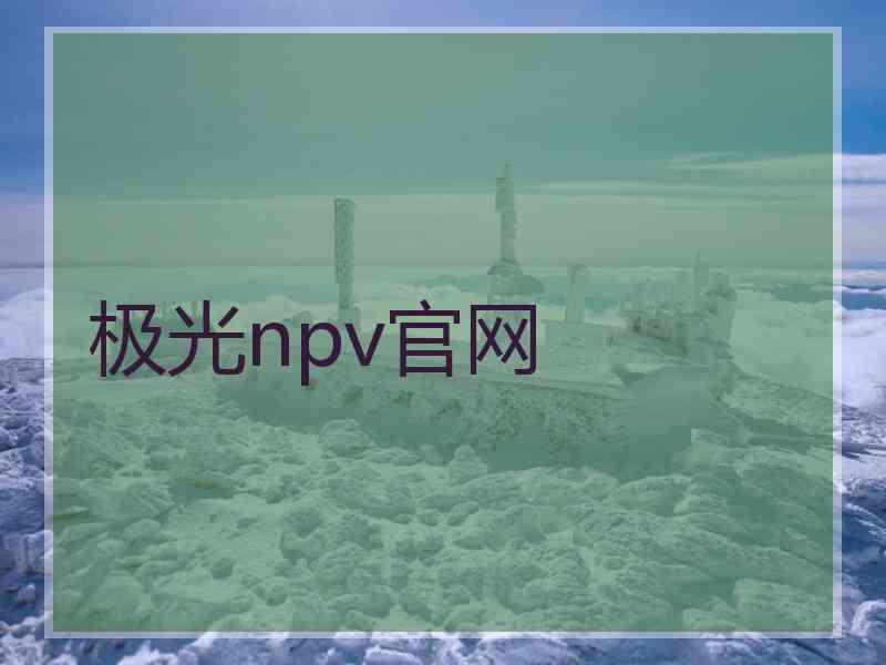 极光npv官网
