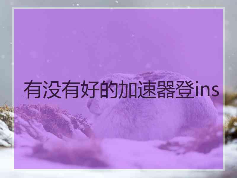 有没有好的加速器登ins