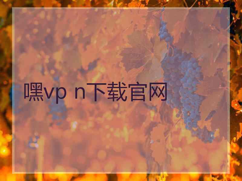嘿vp n下载官网