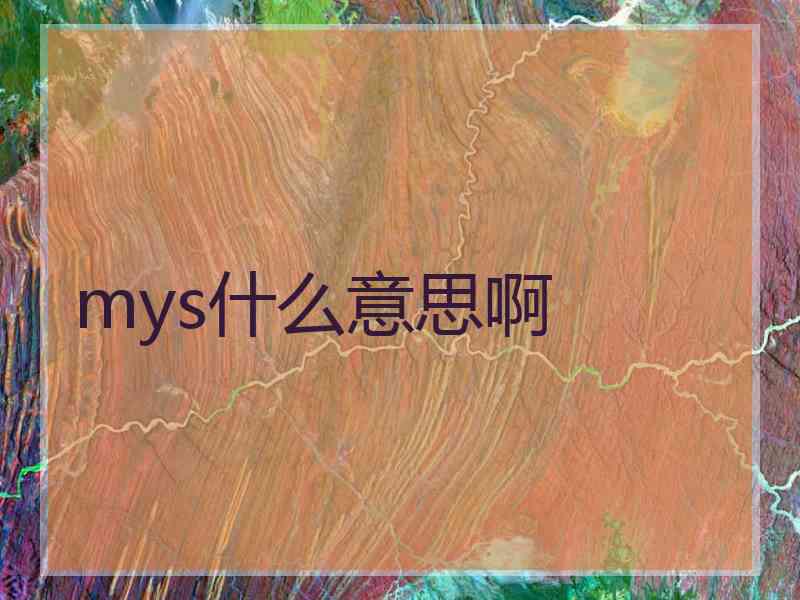 mys什么意思啊