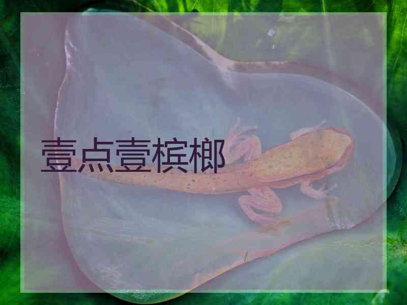 壹点壹槟榔