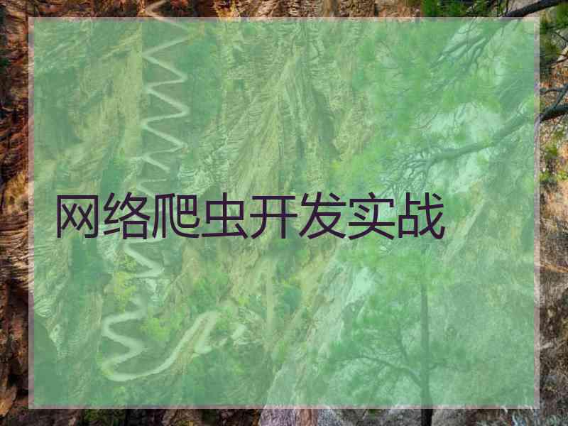 网络爬虫开发实战