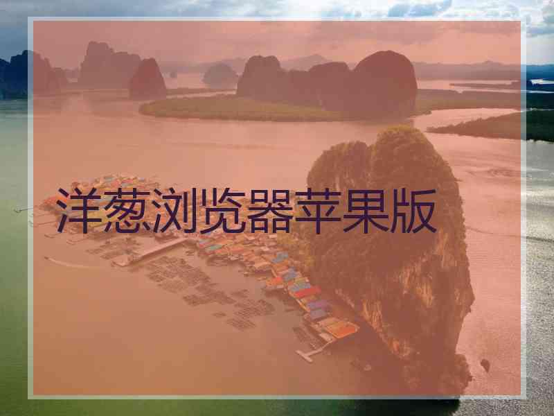 洋葱浏览器苹果版