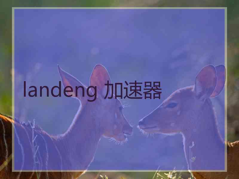 landeng 加速器