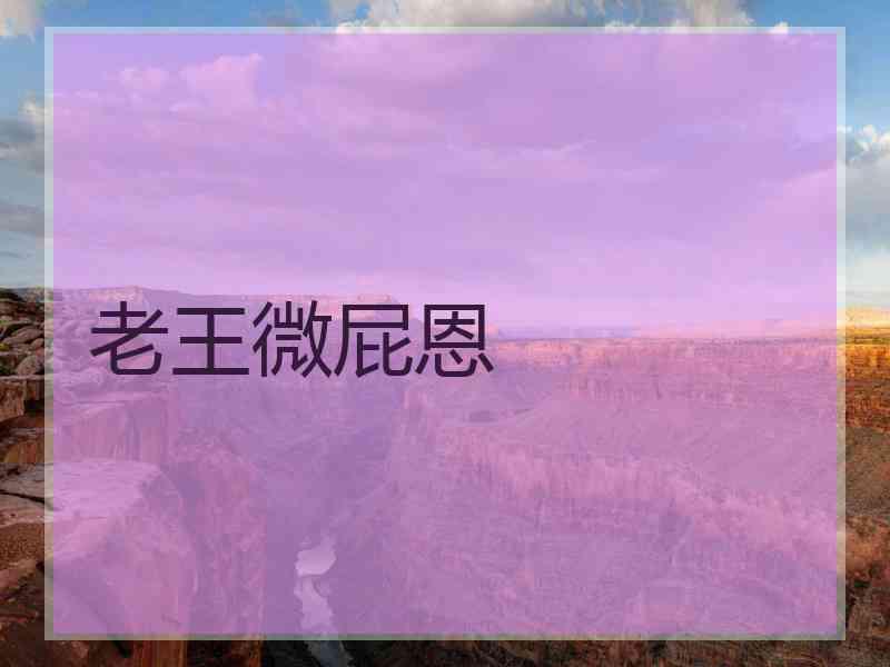 老王微屁恩