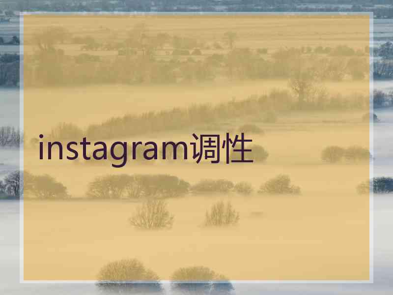 instagram调性