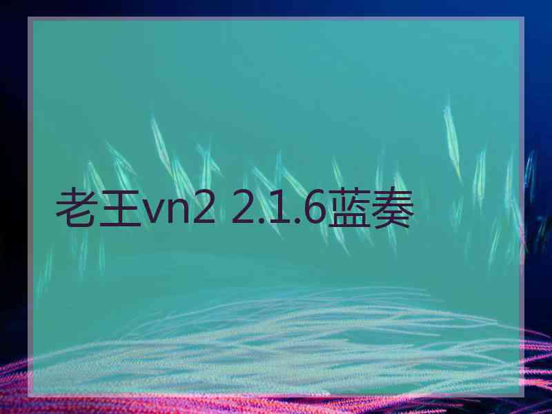 老王vn2 2.1.6蓝奏