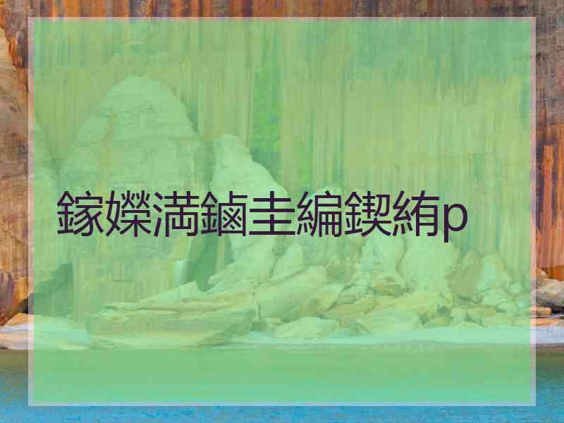 鎵嬫満鏀圭編鍥絠p