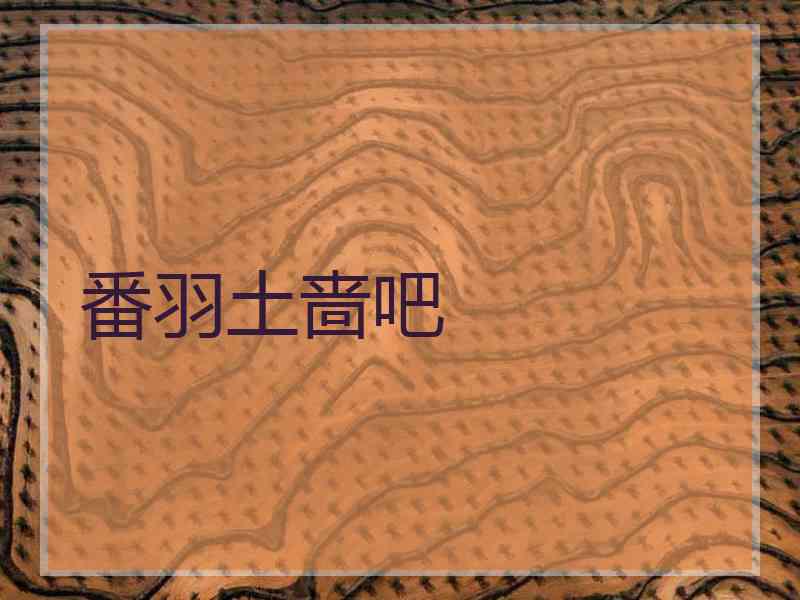 番羽土啬吧