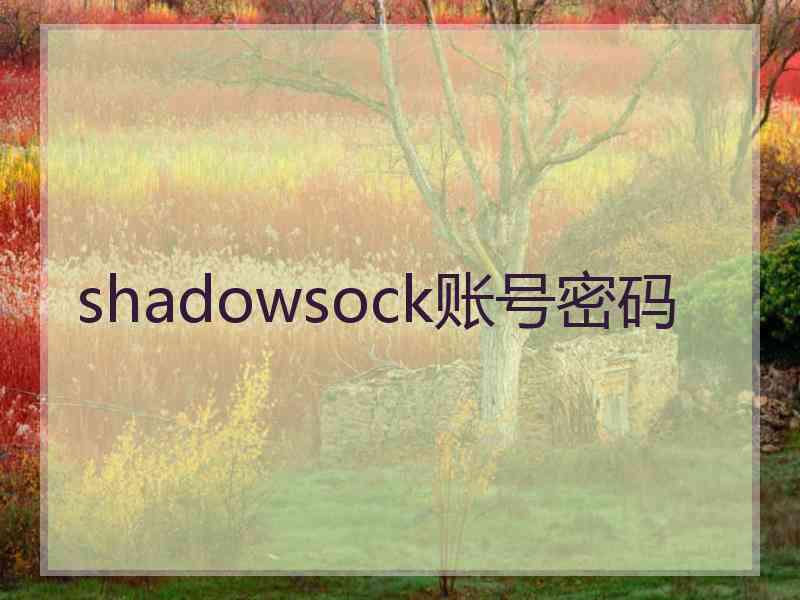 shadowsock账号密码