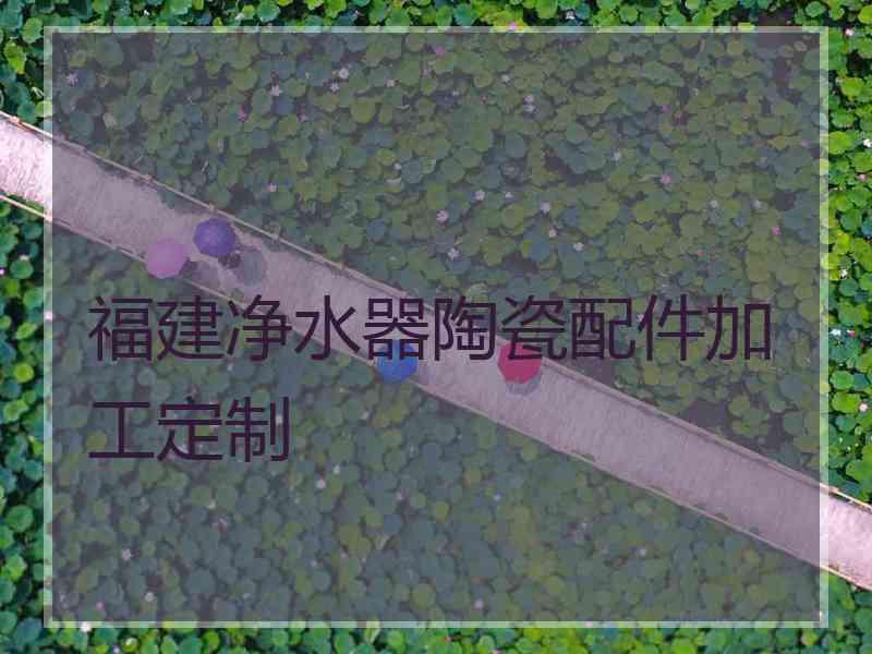 福建净水器陶瓷配件加工定制