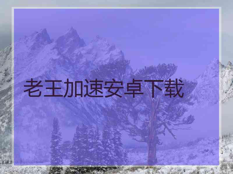 老王加速安卓下载