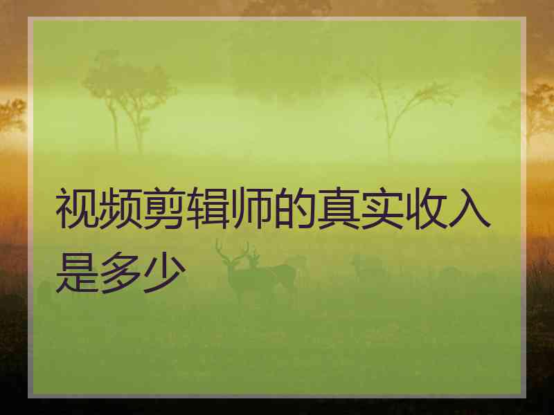 视频剪辑师的真实收入是多少